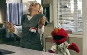 Elmo (3)