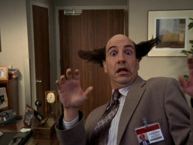 File:4x6hair.jpg