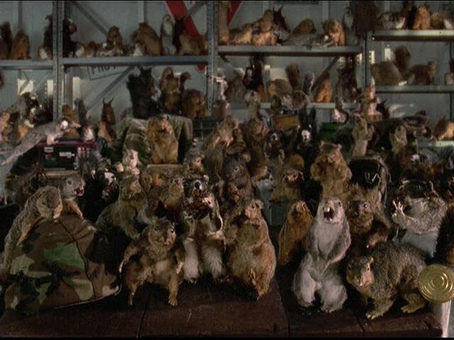 File:Squirrel Army.jpg