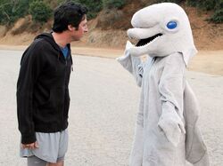 5.3 - Delfin.jpg
