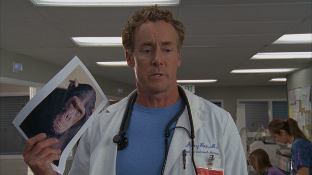 File:8x16 Cox.png