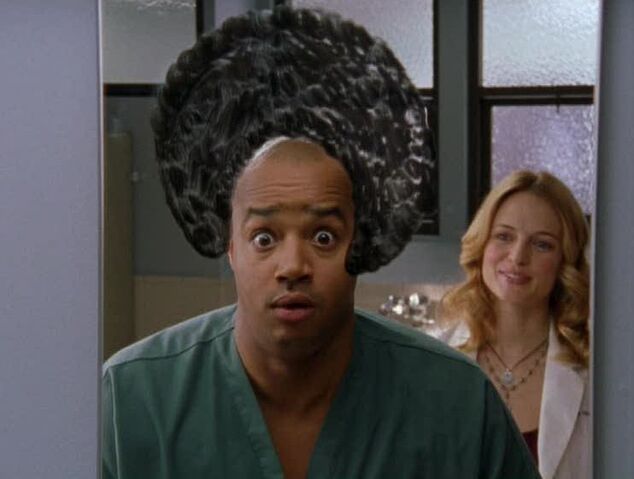File:4x6afro.jpg