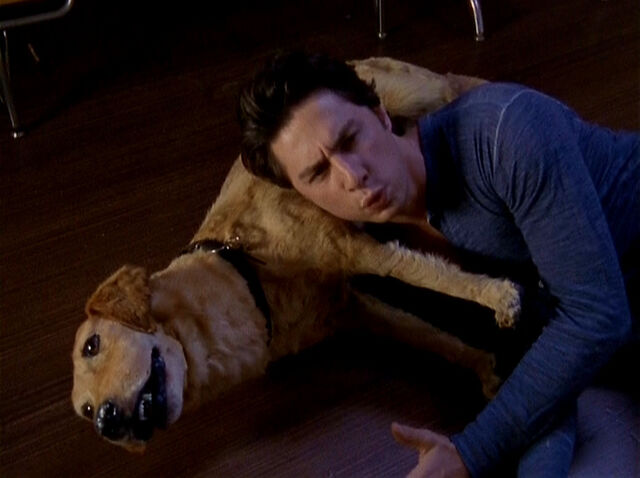 File:3x9 Rowdy as pillow.jpg
