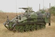 Wiesel2