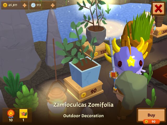 File:ZamioculcasZomifolia.jpeg