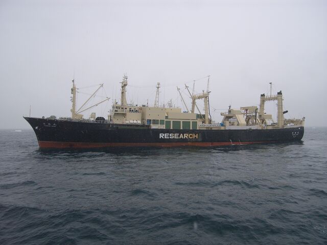 File:NisshinMaru.jpg
