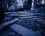 Volunteer Park Blues