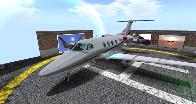 File:Embraer Phenom 100 (Dani).png