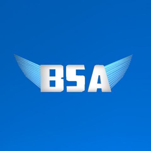 File:BSA LOGO 2.png