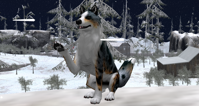 File:Hi! I'm Quinn Avery!.png