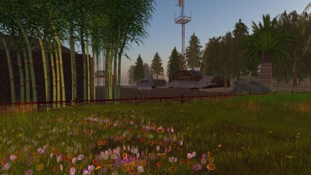 File:Sparrow Field (04-2012).jpg