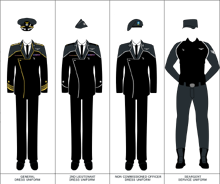 United States Space Force | Second Renaissance Wikia ...