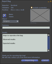 Report-bug-window