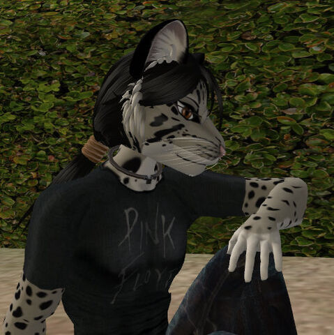 File:Lalo-headshot 14.jpg