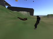 Cool leo flying 001