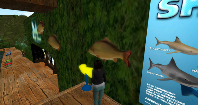 File:Snapshot 042.png
