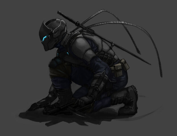 File:CyberNinja.jpg