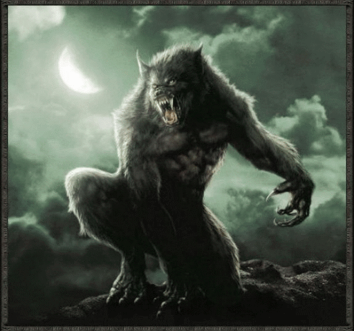 File:Werewolf-werewolves-24033227-530-496.gif