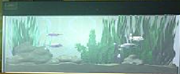 Fish tank