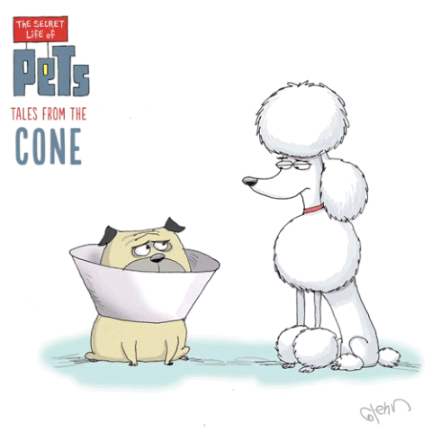 File:PETS Comics conegags3.gif