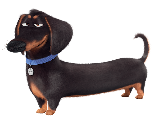 File:Buddy transparent.png