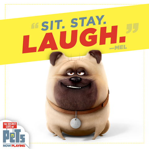 File:Sit Stay Laugh Mel.png