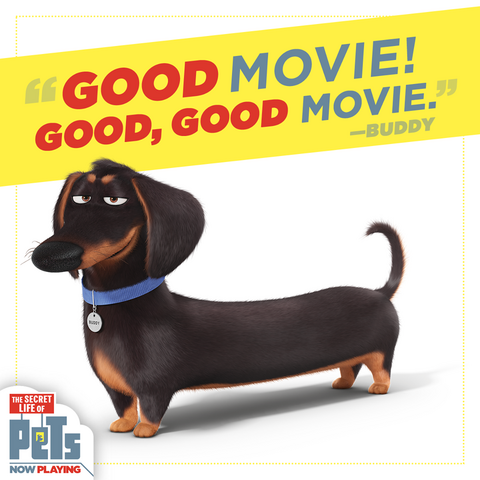 File:Good Movie Buddy.png