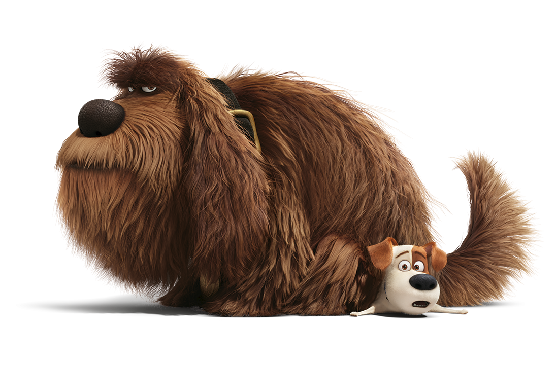 Image - Max-and-duke.png | The Secret Life of Pets Wiki | Fandom ...