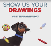 Pet drawings
