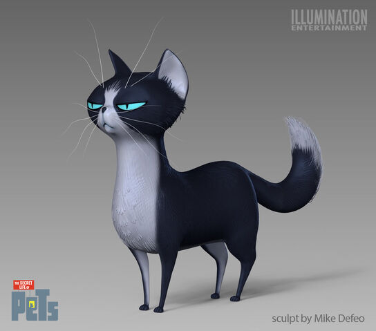 File:Straycat 2.jpeg