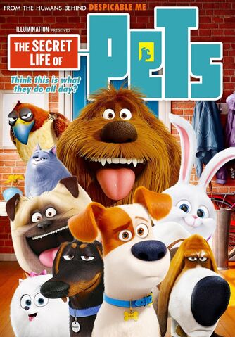 File:.028 Pets & Zachary.jpg