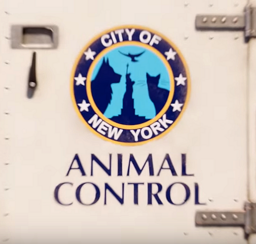 File:Animal Control Logo.png