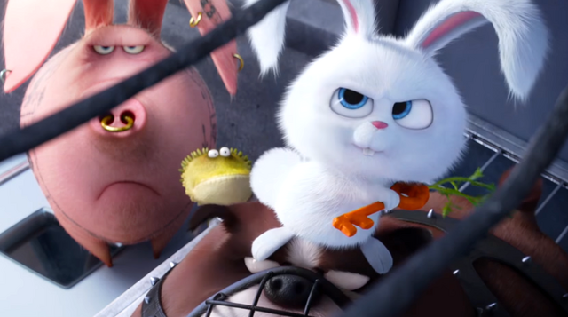 File:Flushed pets.png