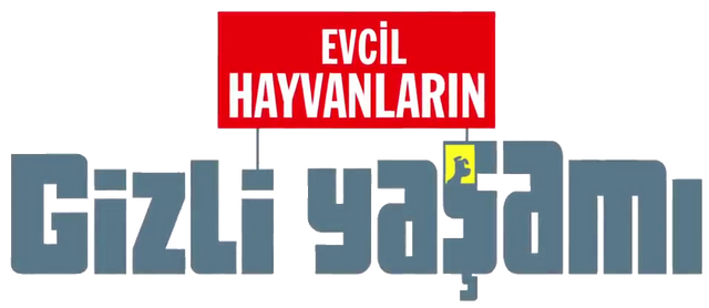 File:Pets turkish.png