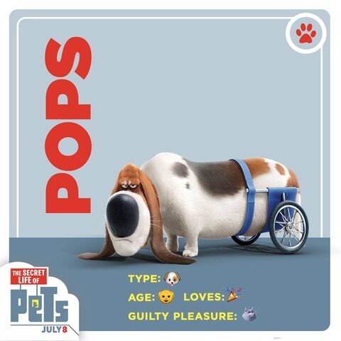 File:Pops card.jpg