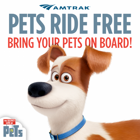 File:Amtrak 1.png
