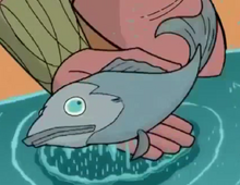 Sfish