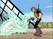 Reflex Disrupter