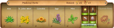 C0271 Medicinal Herbs cropped