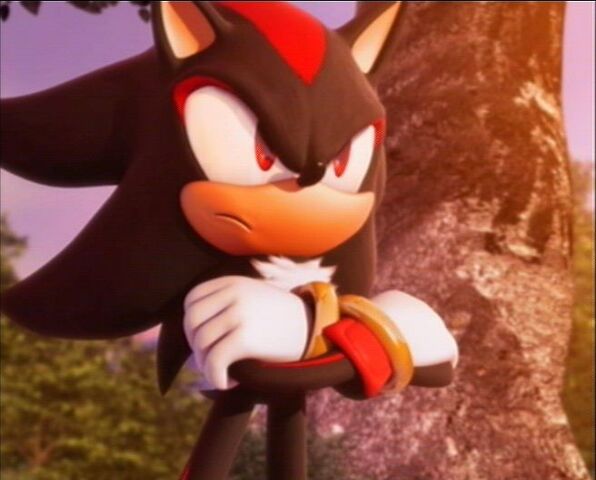 Datei:Spielverlauf-Shadow-the-Hedgehog-656x528-ca7bec3f8855e3b5.jpg