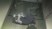 Sleep
