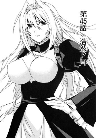 File:Sekirei manga chapter 045.jpg