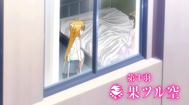 File:Sekirei~Pure~Engagement~Episode 10.png