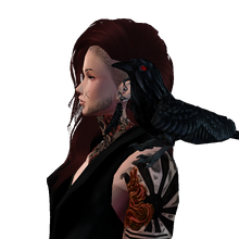 Bird
