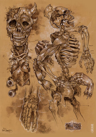 File:Demon anatomy by Alizel.jpg
