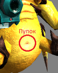 Пупскорпа.png