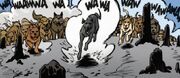 Chiens