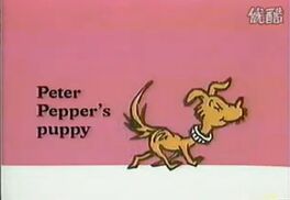 Peter Pepper's Puppy