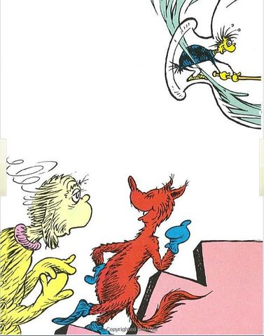 File:Fox-in-socks.jpg