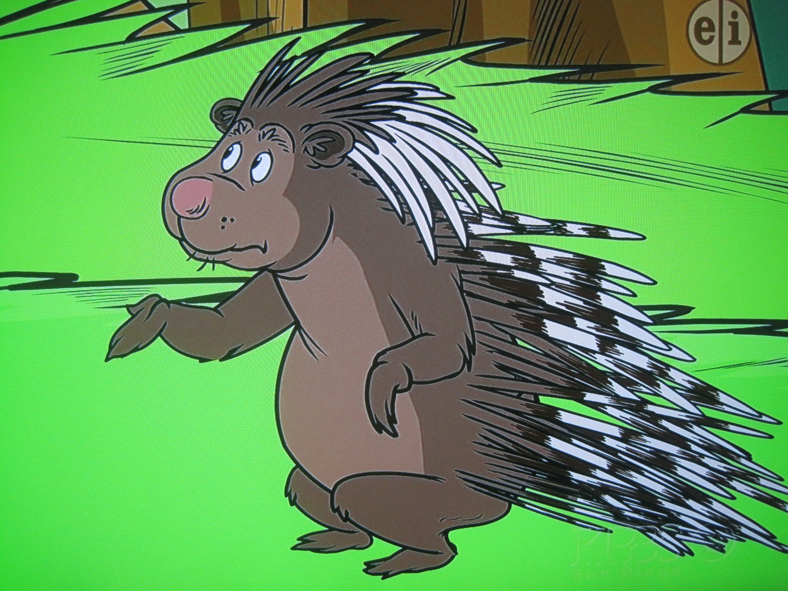 Porcupine | Dr. Seuss Wiki | FANDOM powered by Wikia